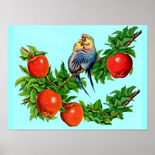 verliefde parkieten poster (Voorkant)