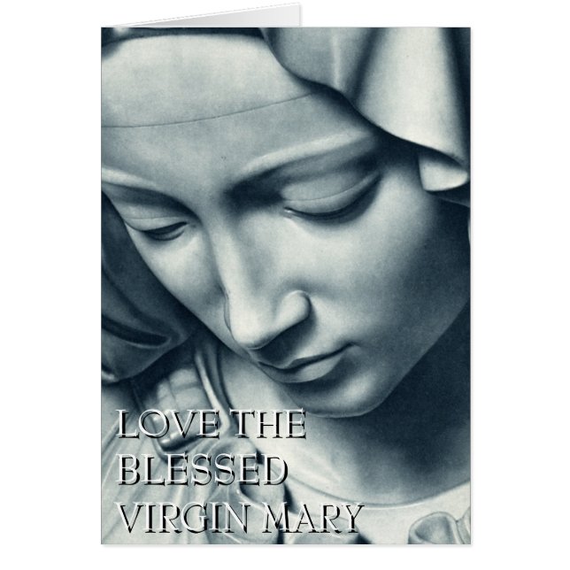 VERLIES DE BLOKKEERDE VIRGIN MARY (Voorkant)