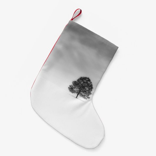 VERLIES DE EENVOUDIGHEID VAN WINTERFOTOGRAFIE DIT  KLEINE KERSTSOK (Voorkant (Hangend))