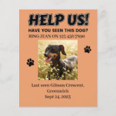 VERLIES DOG FLYERS. HELP ONS! Bewerkbare details Flyer (Voorkant)