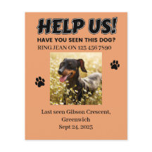 VERLIES DOG FLYERS. HELP ONS! Bewerkbare details
