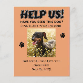 VERLIES DOG FLYERS. HELP ONS! Bewerkbare details Flyer