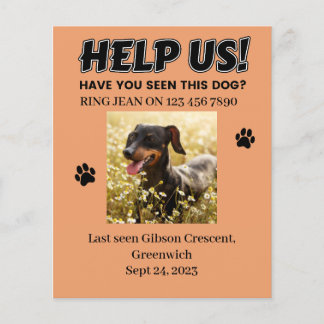 VERLIES DOG FLYERS. HELP ONS! Bewerkbare details Flyer