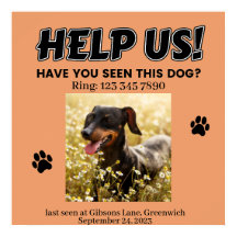 VERLIES DOG POSTER. HELP ONS! Poster bewerkbare ge