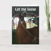 VERLIES EEN LLAMA... OF IEMAND ANDERS... VERZENDEN KAART (Voorkant)