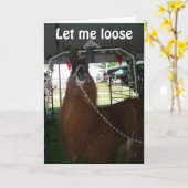 VERLIES EEN LLAMA... OF IEMAND ANDERS... VERZENDEN KAART (Gele Bloem)