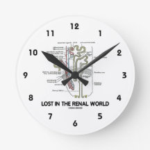 Verlies in de renale wereld (nieren nefron)