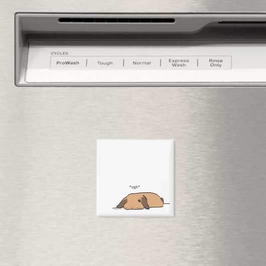 VERLIES MAGNEET (Insitu (Vaatwasser))