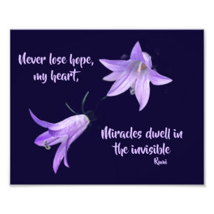 Verlies nooit de hoop Rumi Inspirerend quote 8x10 Foto Afdruk
