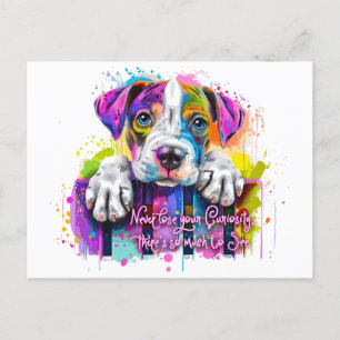 Verlies nooit je nieuwsgierigheid, er is zoveel te briefkaart