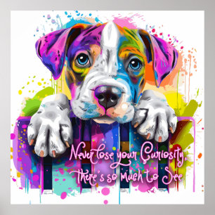 Verlies nooit je nieuwsgierigheid, er is zoveel te poster