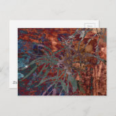 VERLIES OP TORTOISESHELL BRIEFKAART (Voorkant / Achterkant)