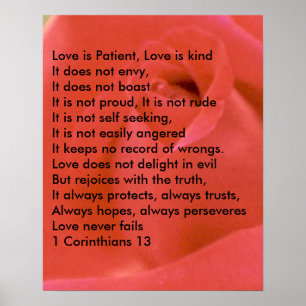 VERLIES POEM OP RODE ROSE POSTER