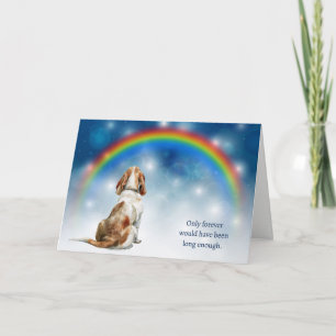 Verlies van Basset Hound Hond Nacht Regenboog Symp Feestdagen Kaart