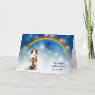 Verlies van Beagle Hound Hond Nacht Regenboog Symp Feestdagen Kaart