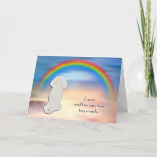 Verlies van Bichon Frise Rainbow Sympathie Card Feestdagen Kaart