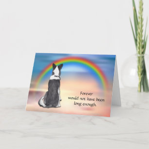 Verlies van Border Collie Rainbow Sympathy Card Feestdagen Kaart
