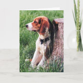 Verlies van de Beagle Sympathy Card Kaart (Voorkant)