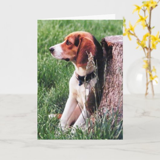 Verlies van de Beagle Sympathy Card Kaart (Gele Bloem)