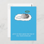 Verlies van de sympathie van Pet Chinchilla Briefkaart (Voorkant / Achterkant)