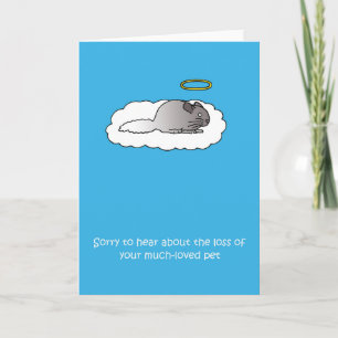 Verlies van de sympathie van Pet Chinchilla Kaart