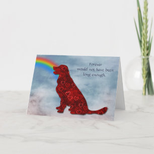 Verlies van de sympathiekaart van de Dog Rainbow Feestdagen Kaart