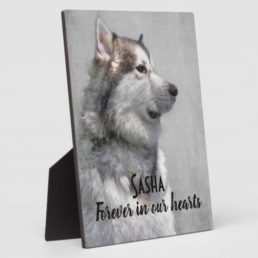 Verlies van een Alaskan Malamute huisdier Fotoplaat (Zijkant)