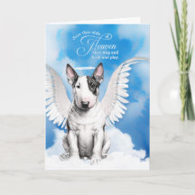 Verlies van een Bull Terrier Dog Angel Pet Sympath