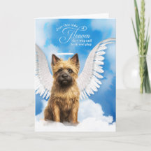Verlies van een Cairn Terrier Dog Angel Pet Sympat
