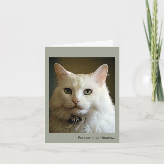 Verlies van een Cat Sympathy Card Kaart (Voorkant)