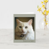 Verlies van een Cat Sympathy Card Kaart (Gele Bloem)