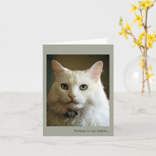 Verlies van een Cat Sympathy Card Kaart (Gele Bloem)