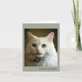 Verlies van een Cat Sympathy Card Kaart