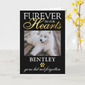 Verlies van een compacte kaart (Gele Bloem)