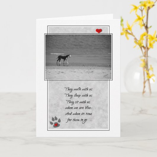 Verlies van een "Dog Beach Theme Sympathie" Kaart (Gele Bloem)