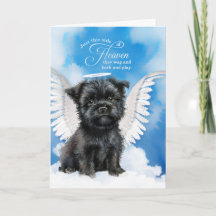 Verlies van een hond Affenpinscher Angel Pet Sympa