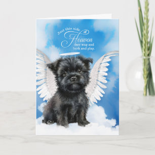 Verlies van een hond Affenpinscher Angel Pet Sympa Kaart