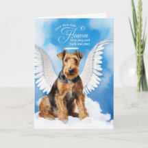 Verlies van een hond Airedale Terrier Angel Pet Sy