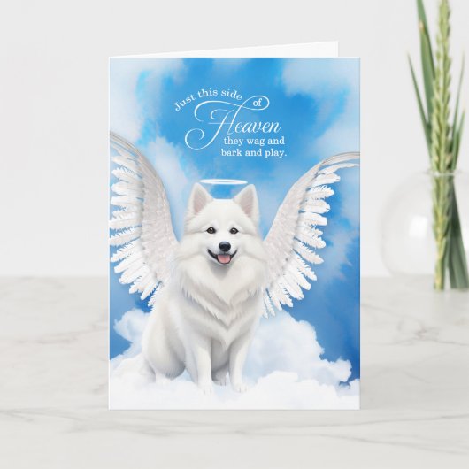 Verlies van een hond American Eskimo Angel Pet Sym Kaart (Voorkant)