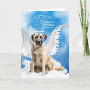 Verlies van een hond Anatolische Herder Pet Sympat Kaart