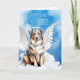 Verlies van een hond Australian Shepherd huisdier  Kaart