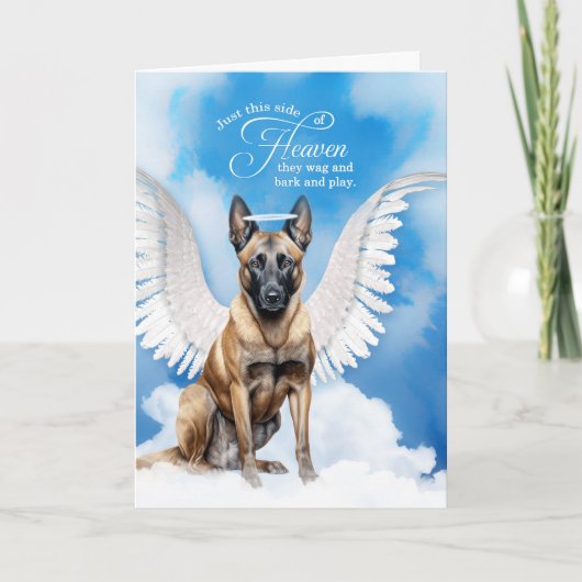 Verlies van een hond Belgische Malinois Angel Pet  Kaart (Voorkant)