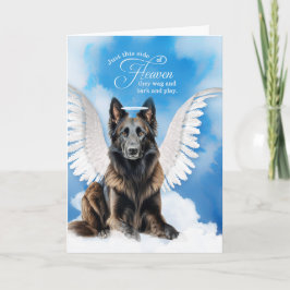 Verlies van een hond Belgische Tervuren Angel Pet  Kaart