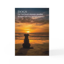 Verlies van een Hond Pet Sympathie Strand Thema Si