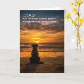 Verlies van een Hond Pet Sympathie Strand Thema Si Kaart (Gele Bloem)