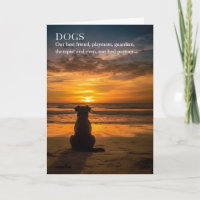 Verlies van een Hond Pet Sympathie Strand Thema Si