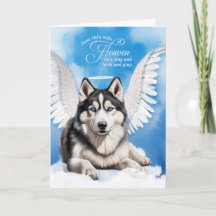 Verlies van een hond Siberische Husky Pet Sympathi