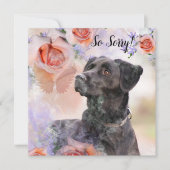 Verlies van een huisdier hond kaart (Voorkant)