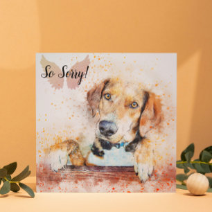 Verlies van een huisdier hond kaart