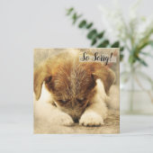 Verlies van een huisdier  Hondkaart Kaart (Staand voorkant)